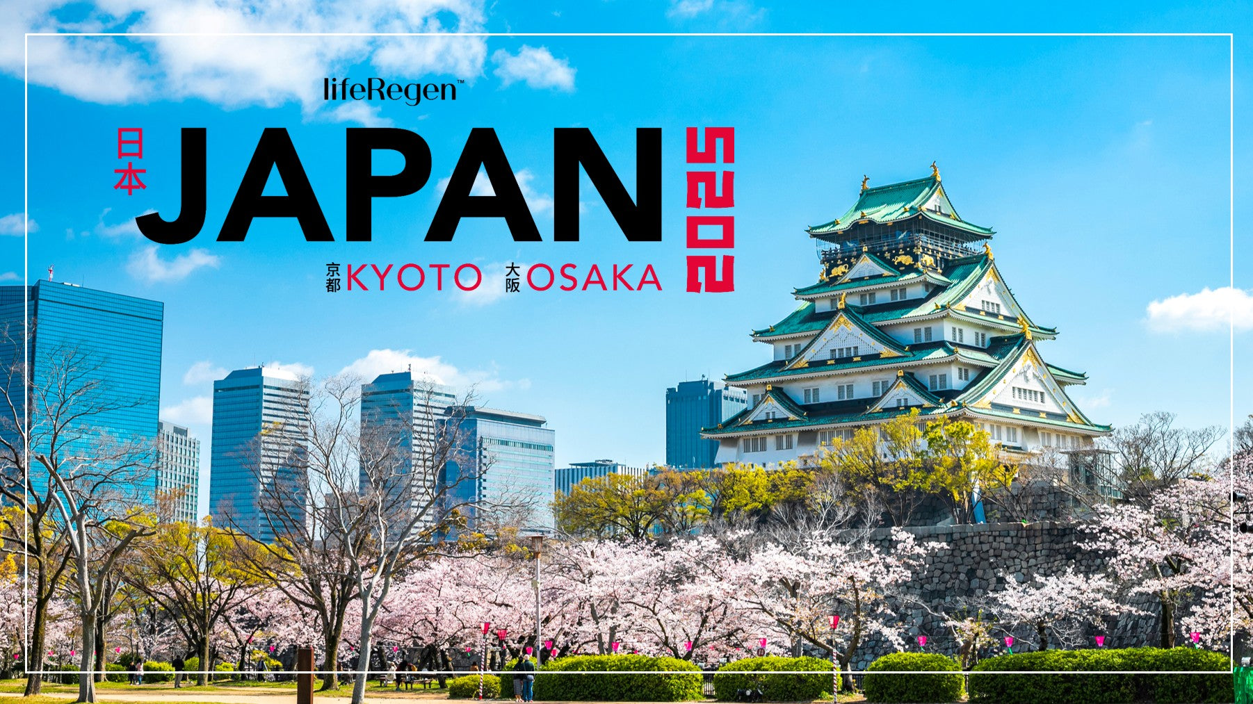 Exciting Update: Our Next Incentive Trip is Now Japan!